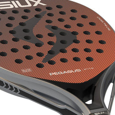 Siux Pegasus Elite 4