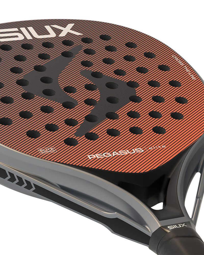 Siux Pegasus Elite 4