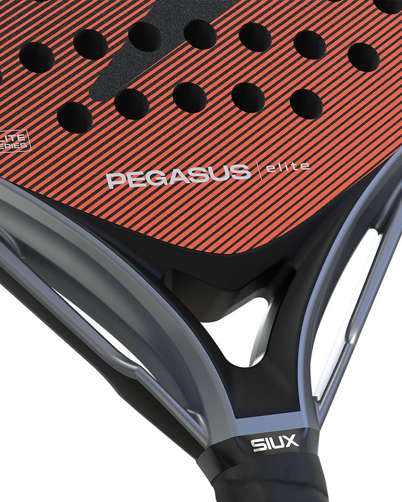 Siux Pegasus Elite 4