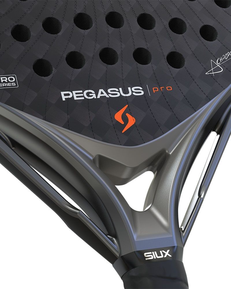 Siux Pegasus Pro 2026 Storm Grey (Álex Chozas)
