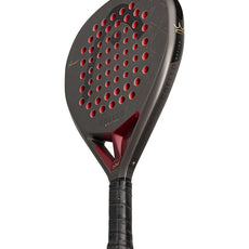 Head Coello Motion 2026