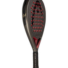 Head Coello Motion 2026